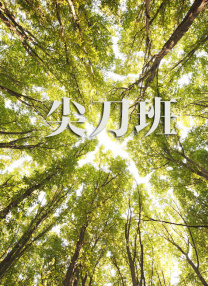 日韩激情av